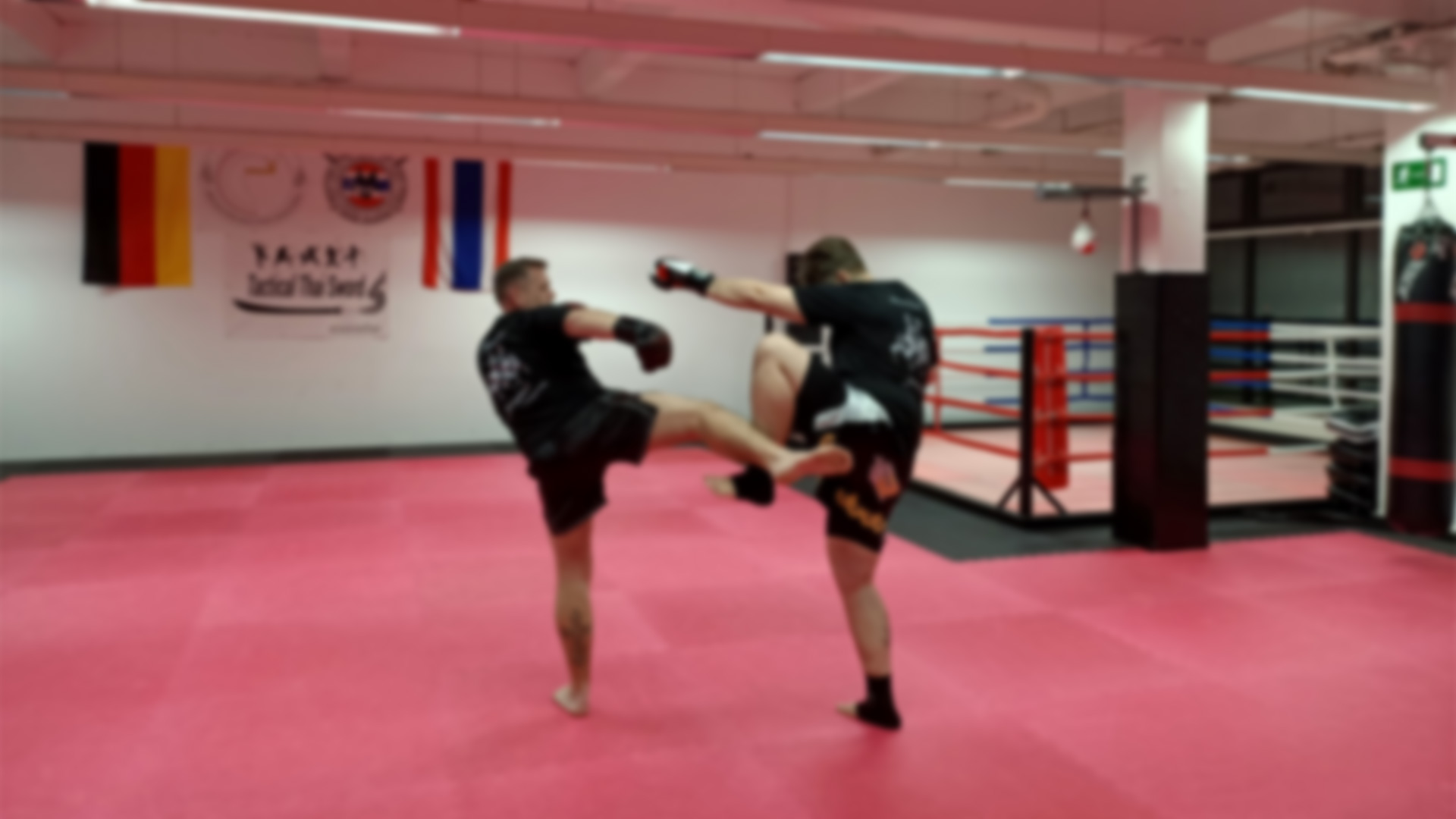 Main image of MuayThai Gym Burgdorf