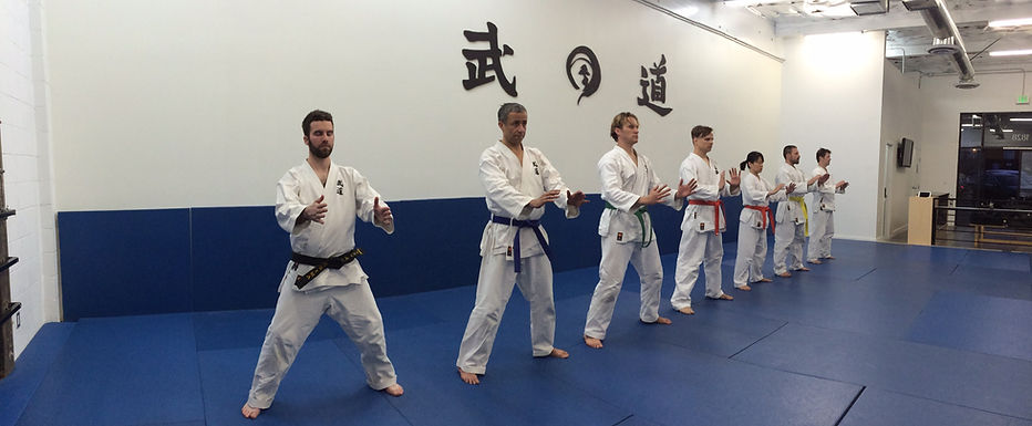 Main image of MuDo Integrated Martial Art