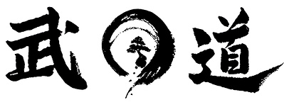 MuDo Integrated Martial Art