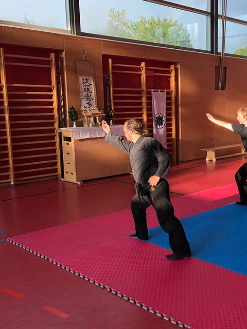 Main image of Mugenkai Dojo