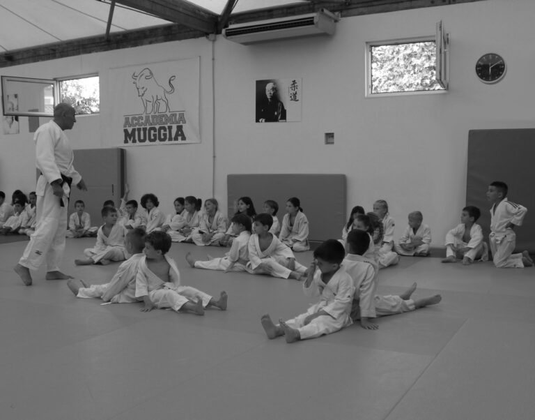 Main image of Muggesana judo a.s.d.