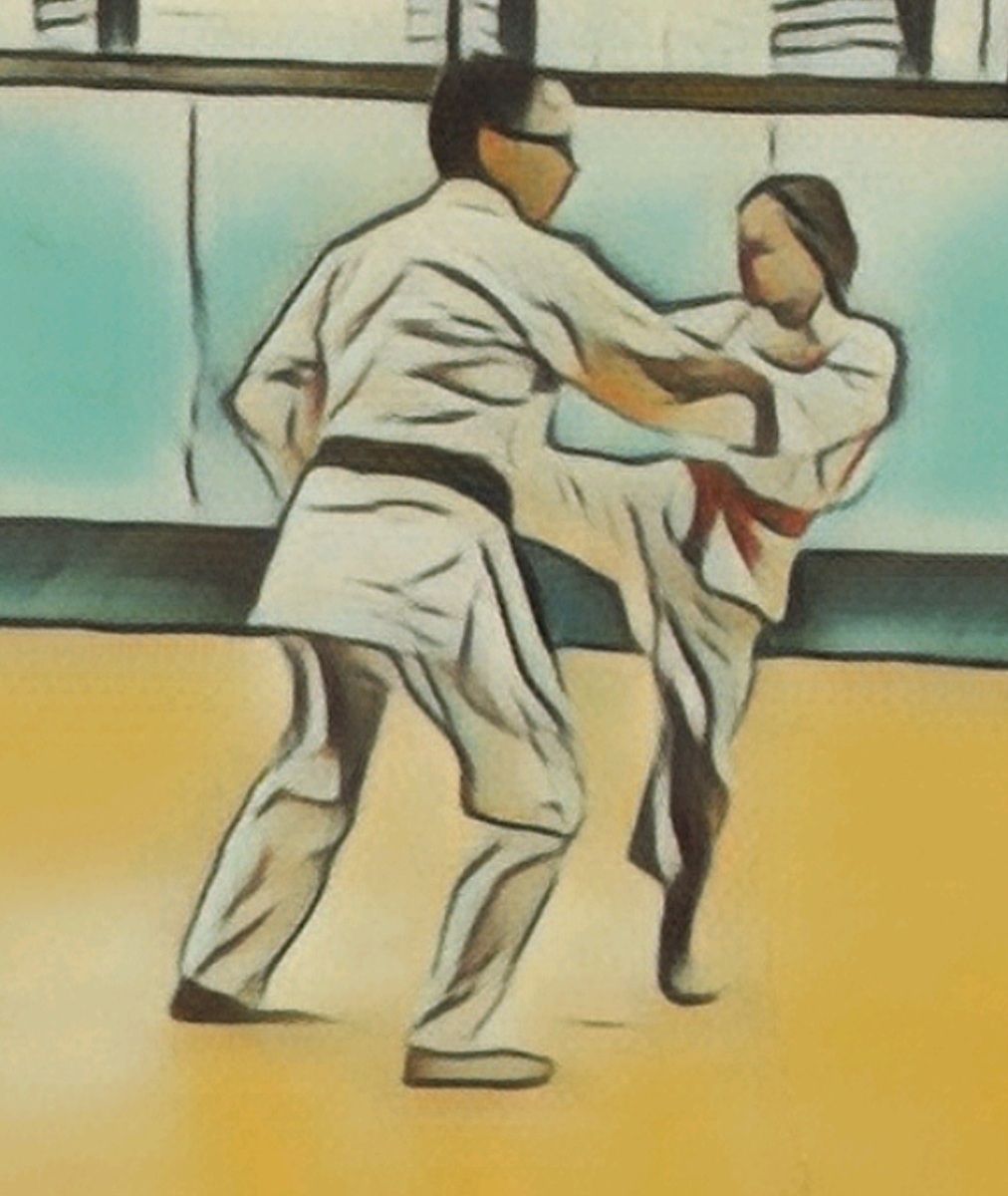 Main image of Muret Judo Club