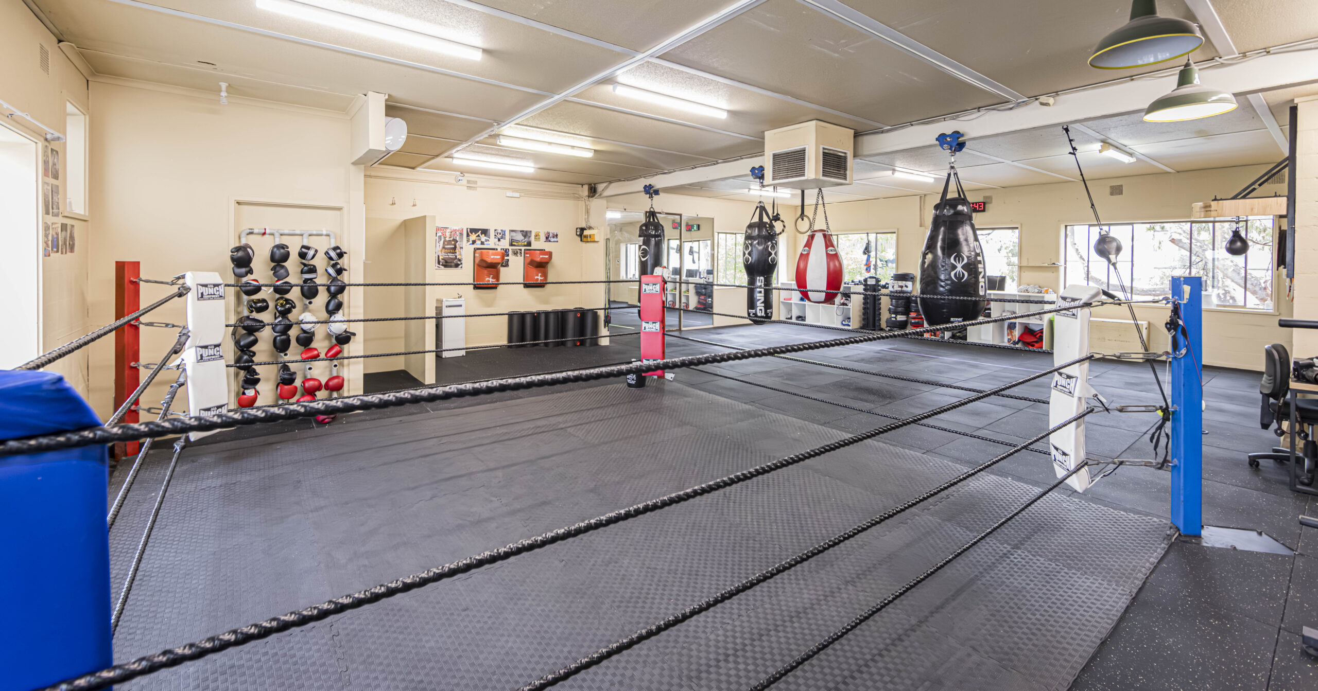 Main image of Murphy's Boxing Gym