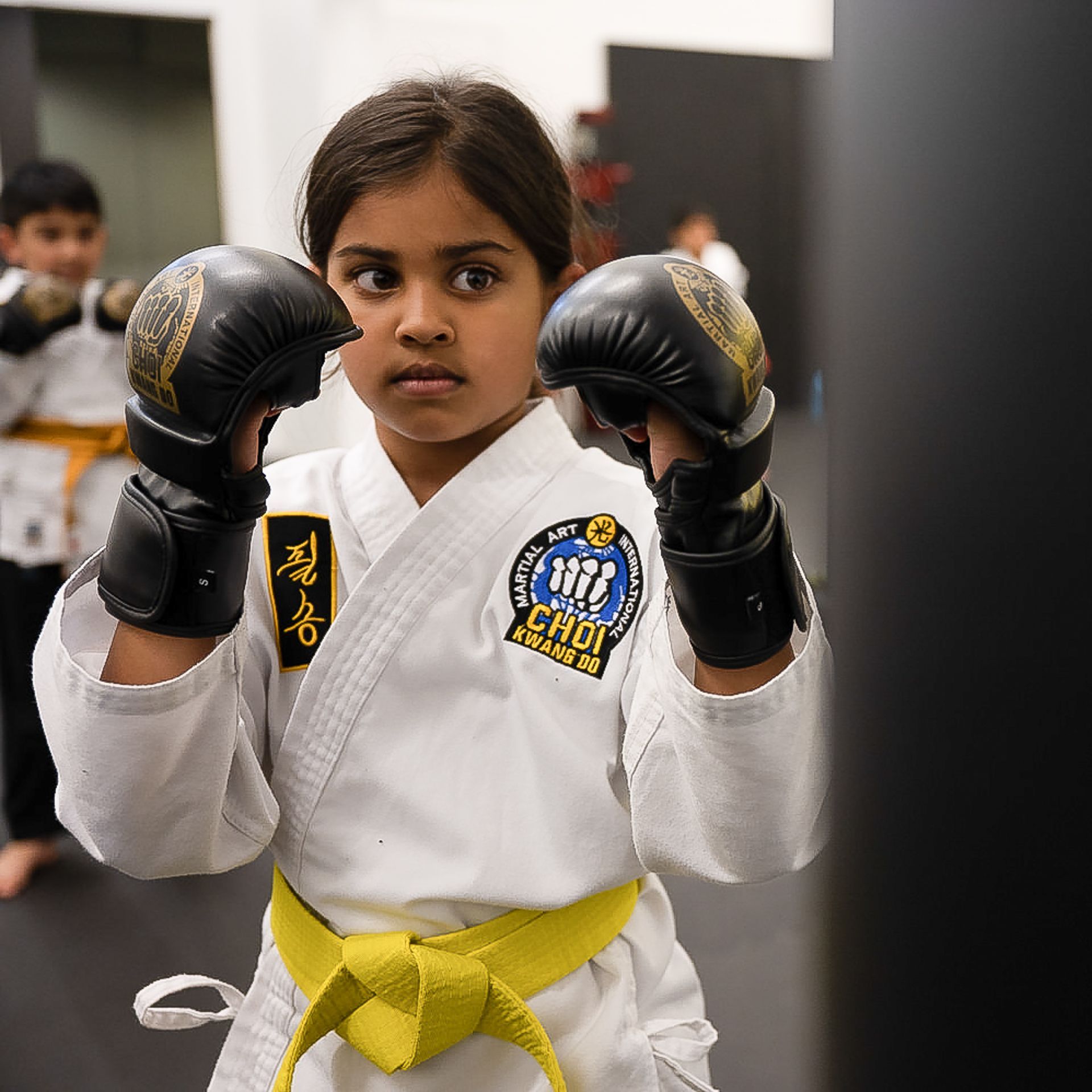Main image of Musa Martial Arts