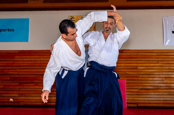 Main image of Mushin Buenos Aires Aikikai