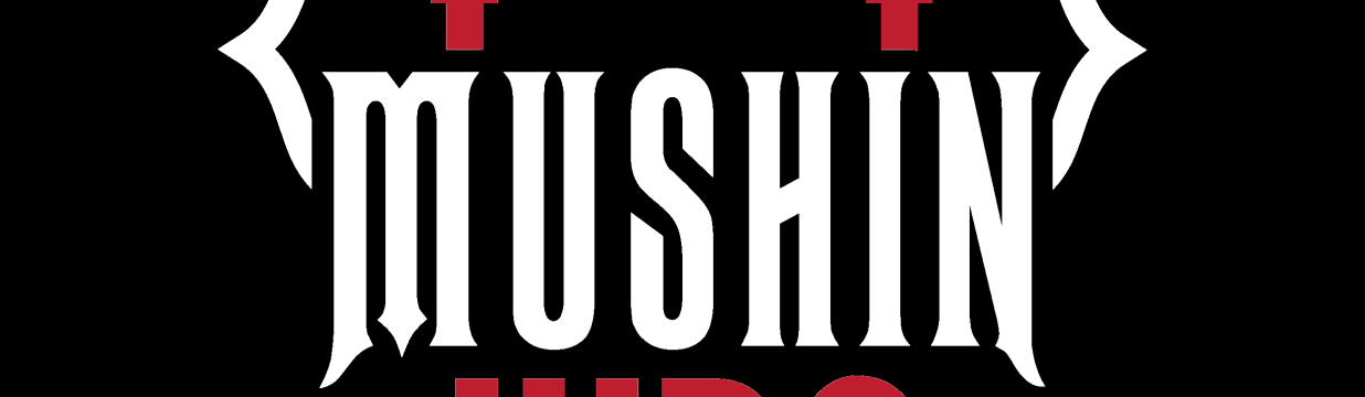 Mushin Judo