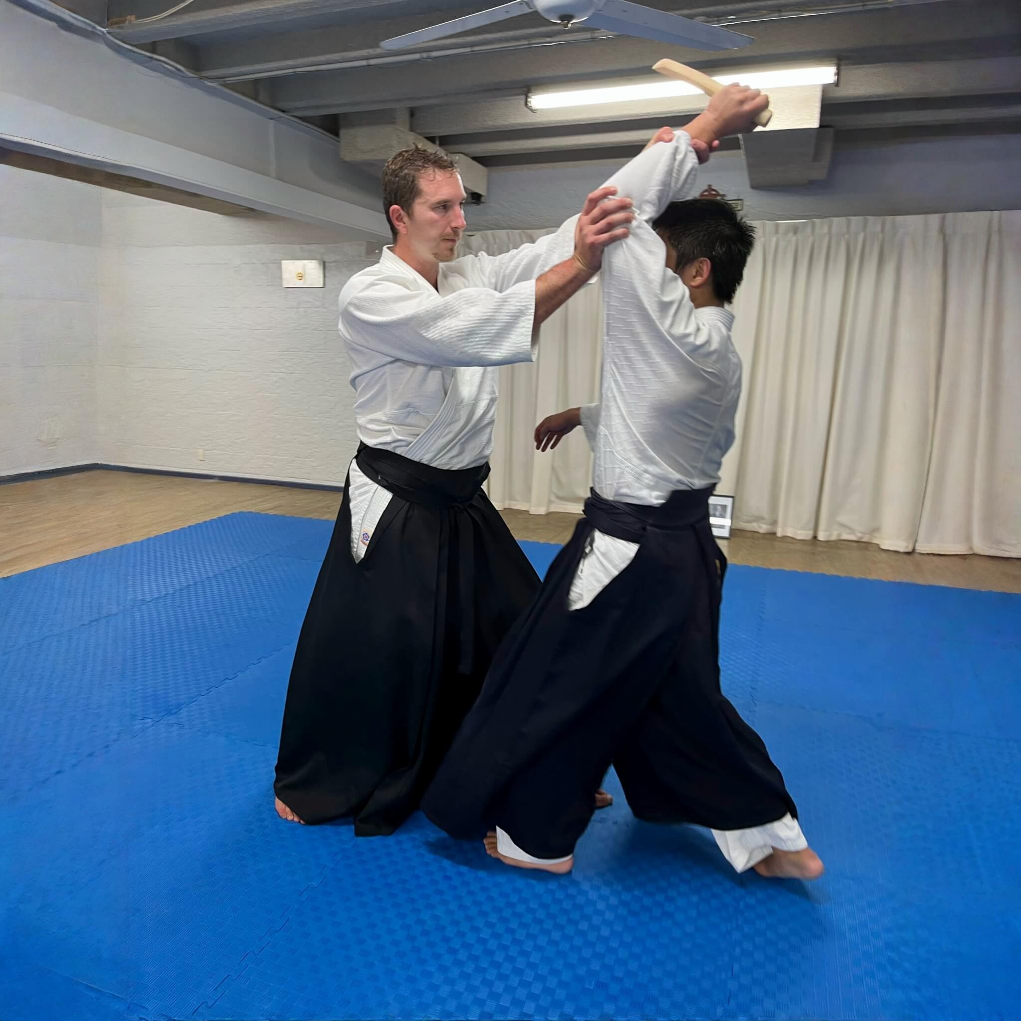 Main image of Mushinkan Aikido