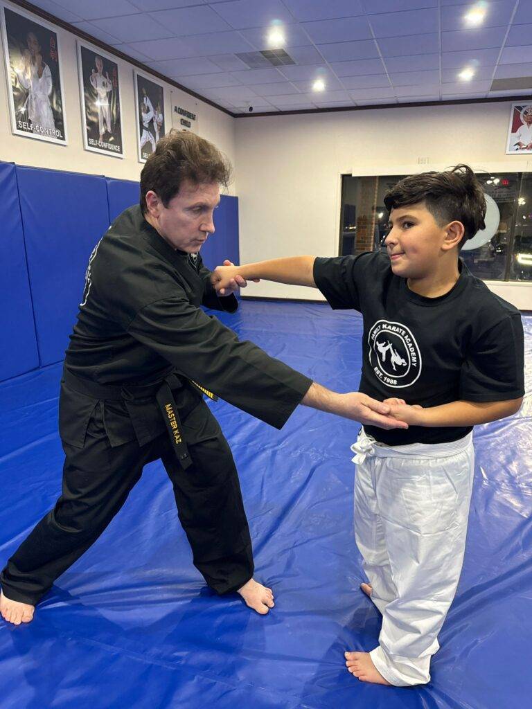 Main image of My Family Karate