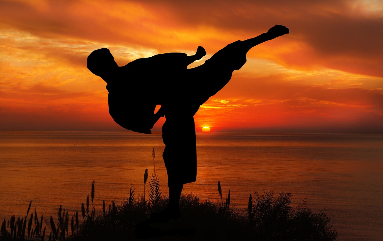 Main image of Mysłowicki Klub Kyokushin Karate "roki"