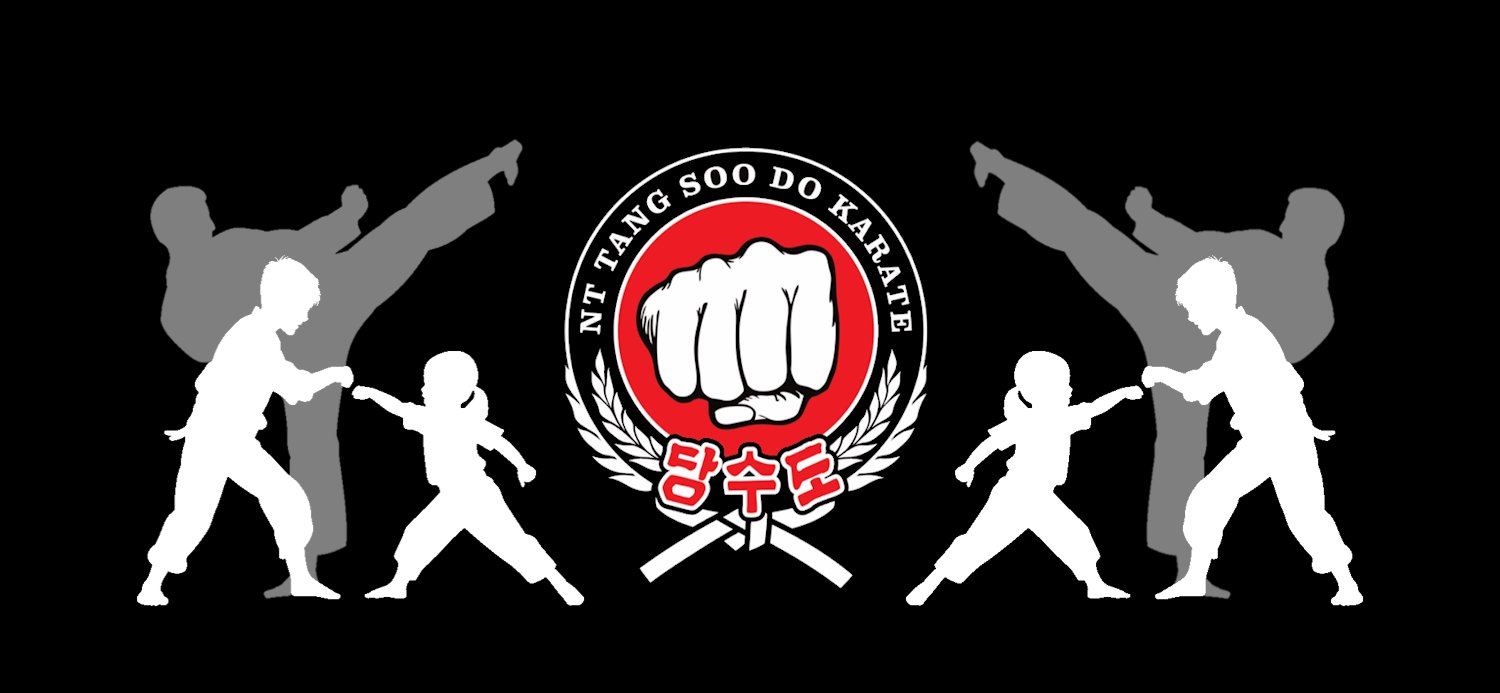 Main image of N.T Tang Soo Do Karate Academy