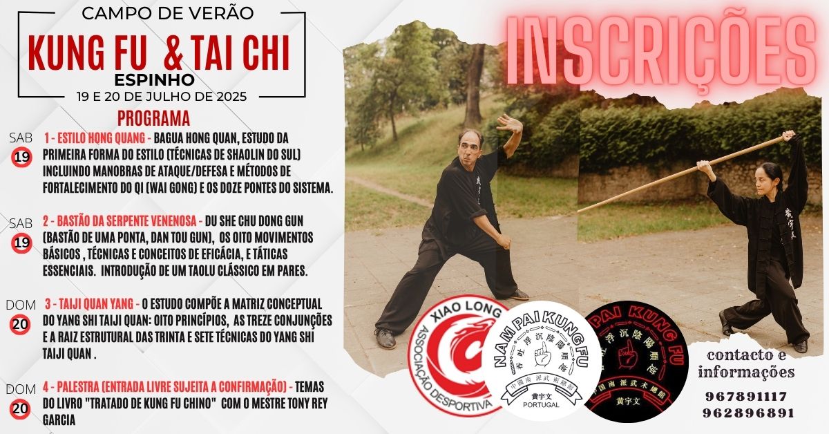 Main image of Nam Pai Kung Fu Portugal