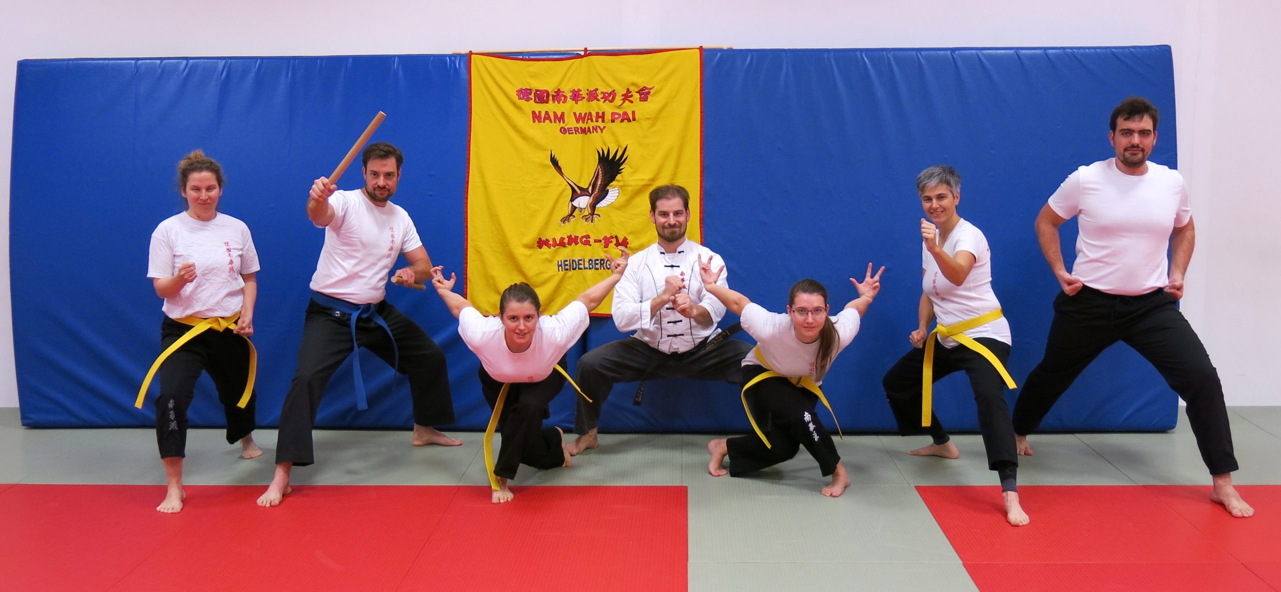 Main image of Nam Wah Pai Kung Fu Heidelberg