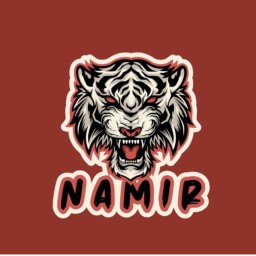 Main image of Namir