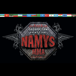 Main image of NamysMMA