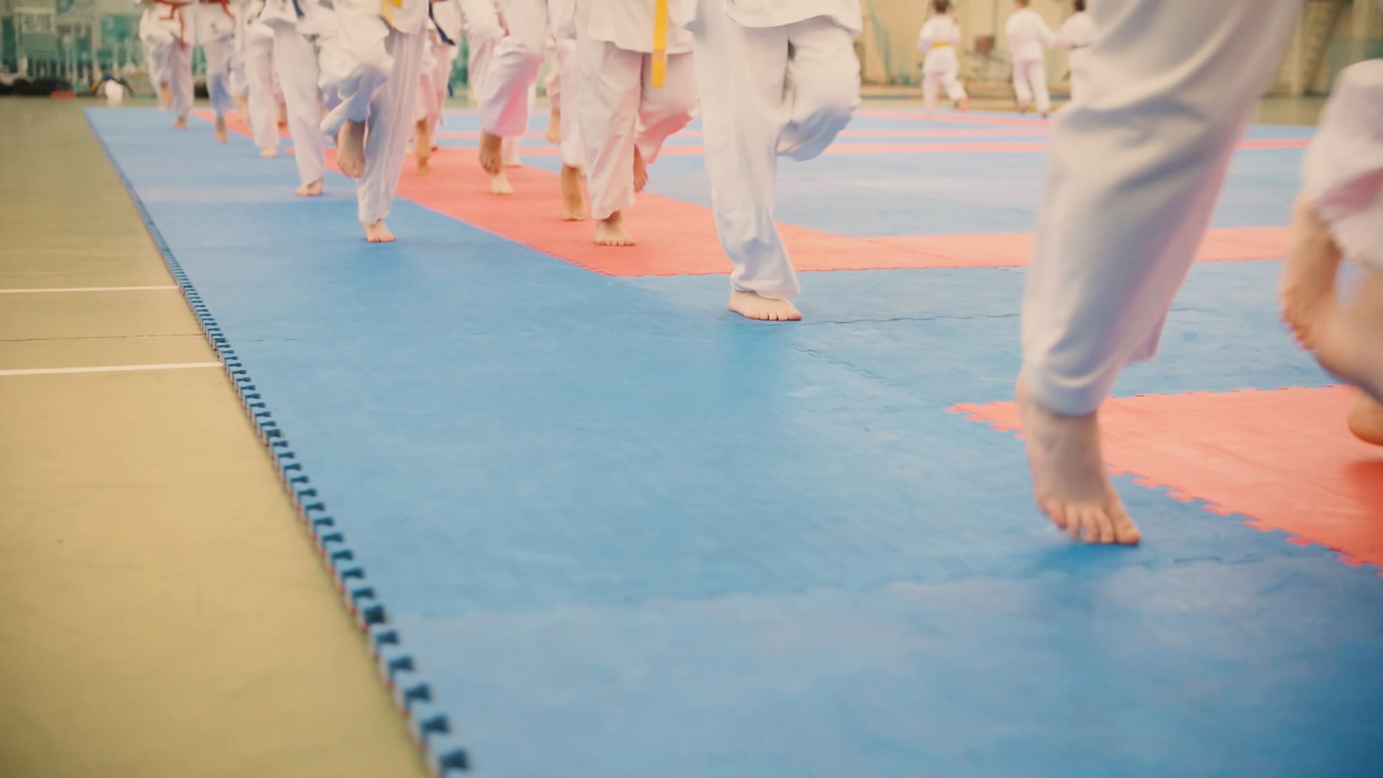 Main image of National Martial Arts