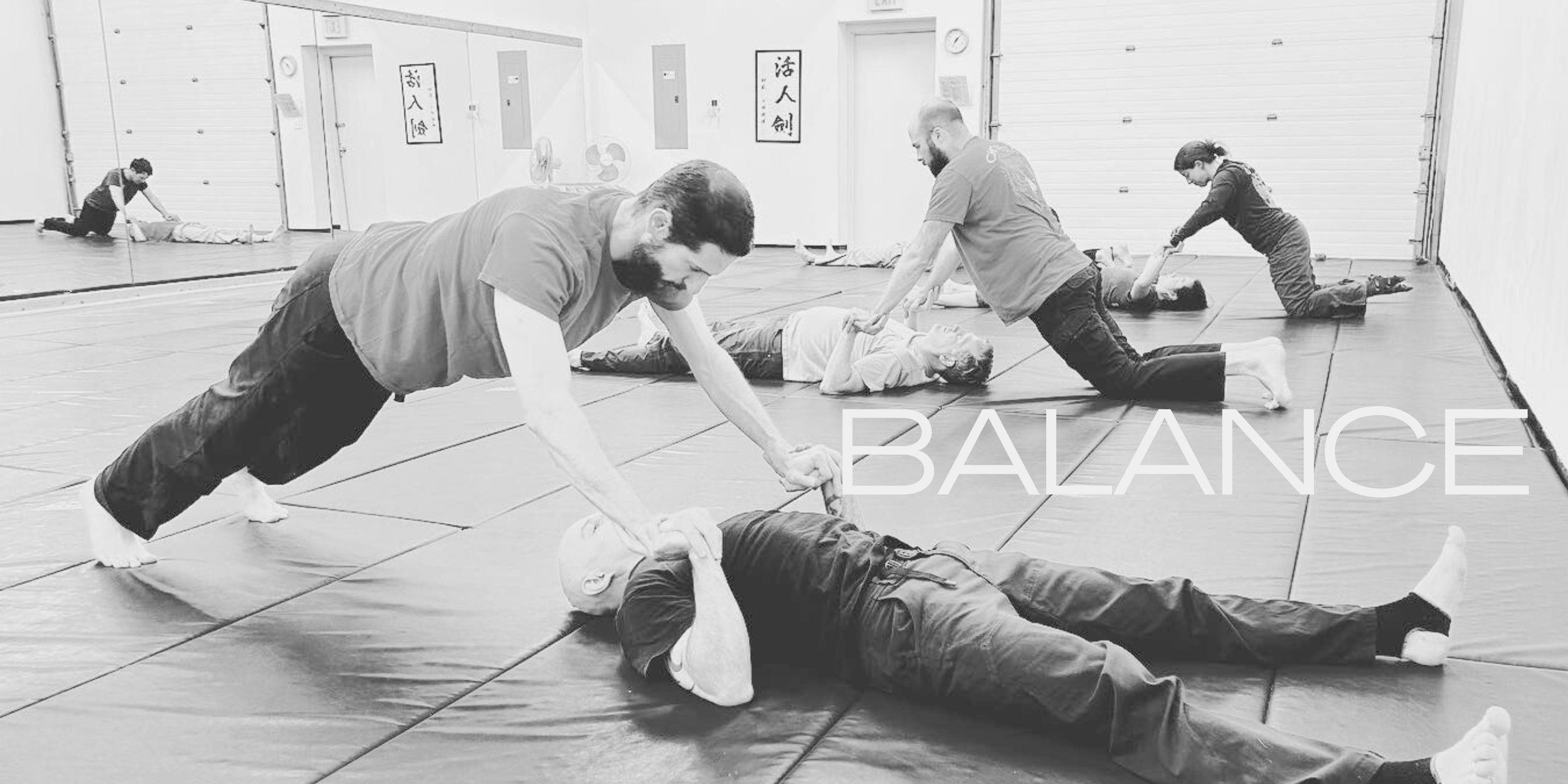 Main image of Nc Systema