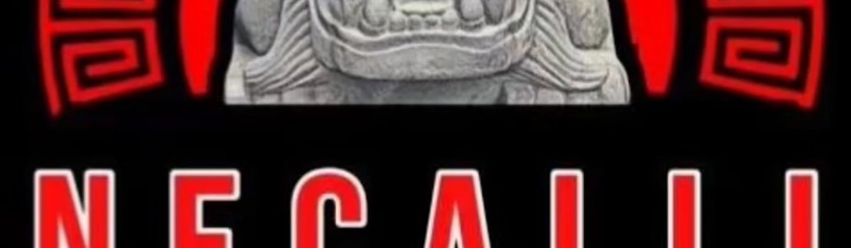 Main image of Necalli Brazilian Jiu Jitsu