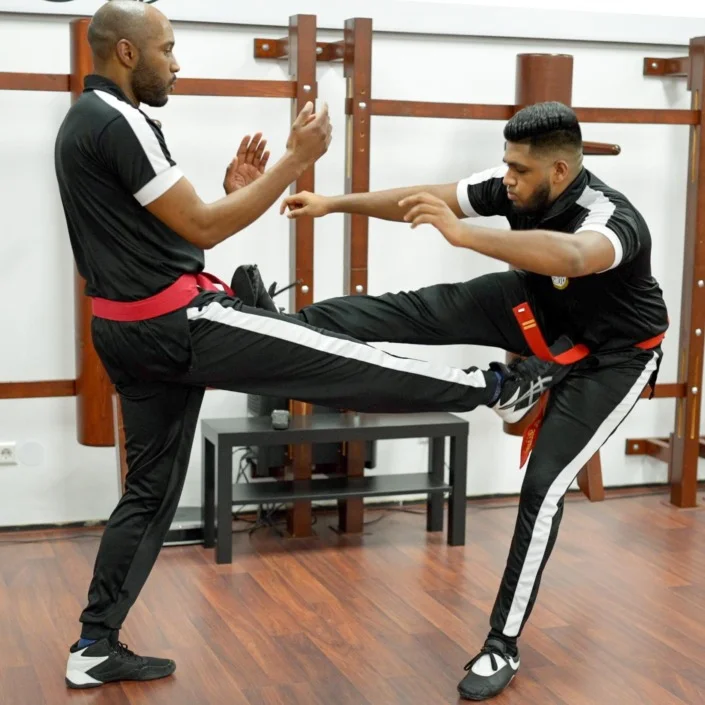 Main image of Nederlandse Wing Chun Federatie