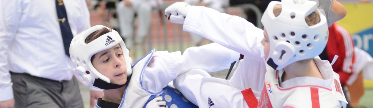 Main image of NEGI TAEKWONDO TIGERS INTERNATIONAL ACADEMY- INDIA-NTTIA