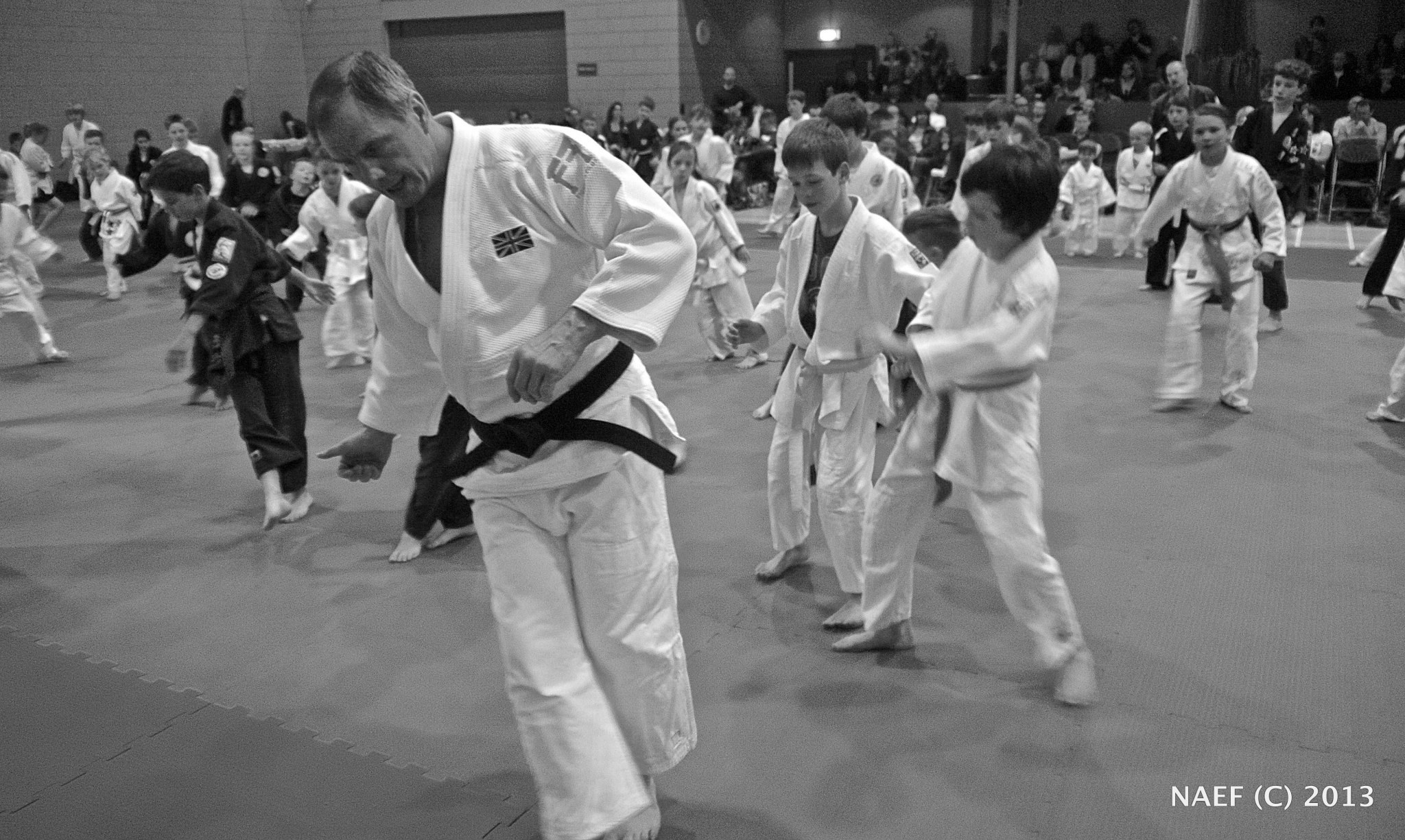 Main image of Neil Adams Effective Fighting