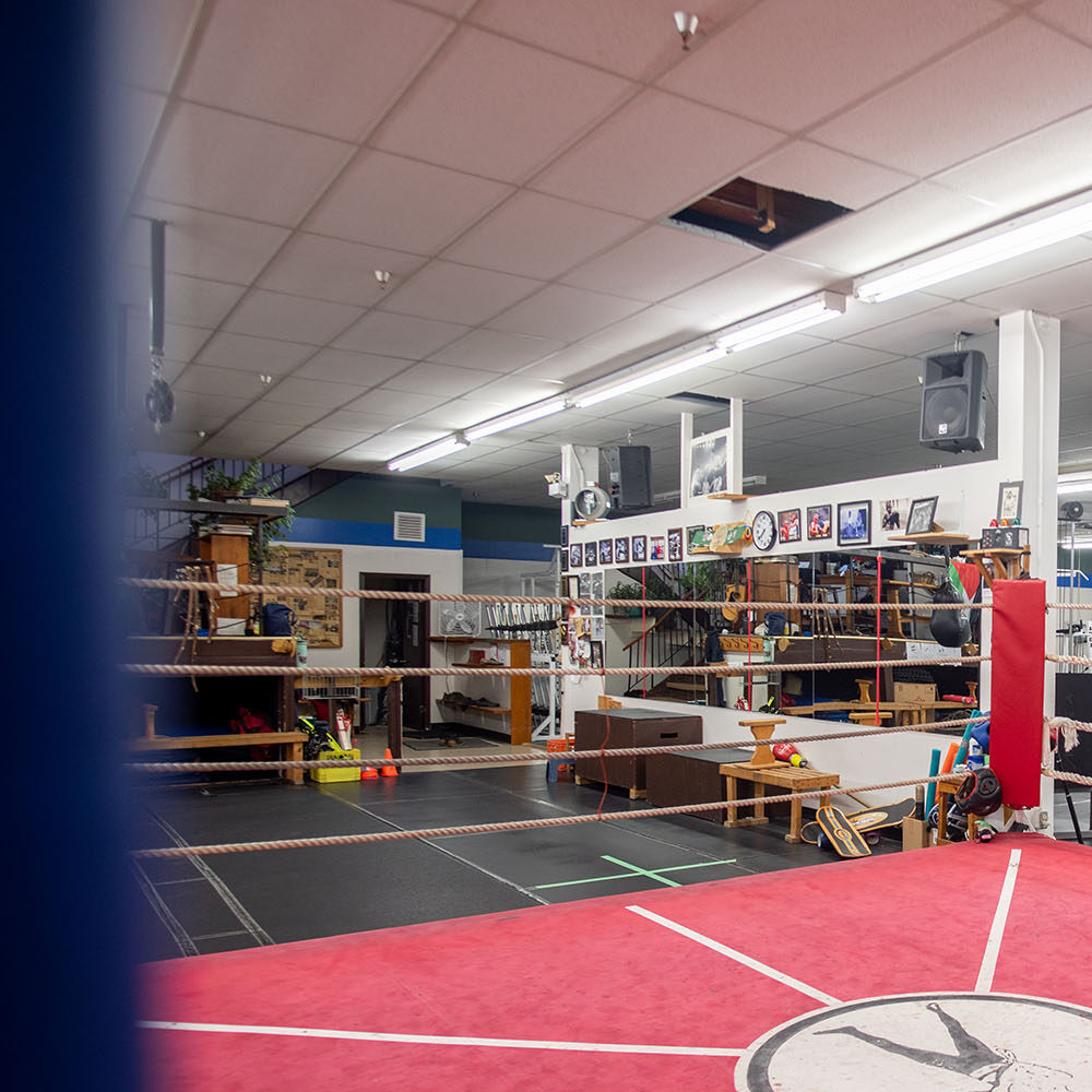 Main image of Nelson Boxing and Athletics Club