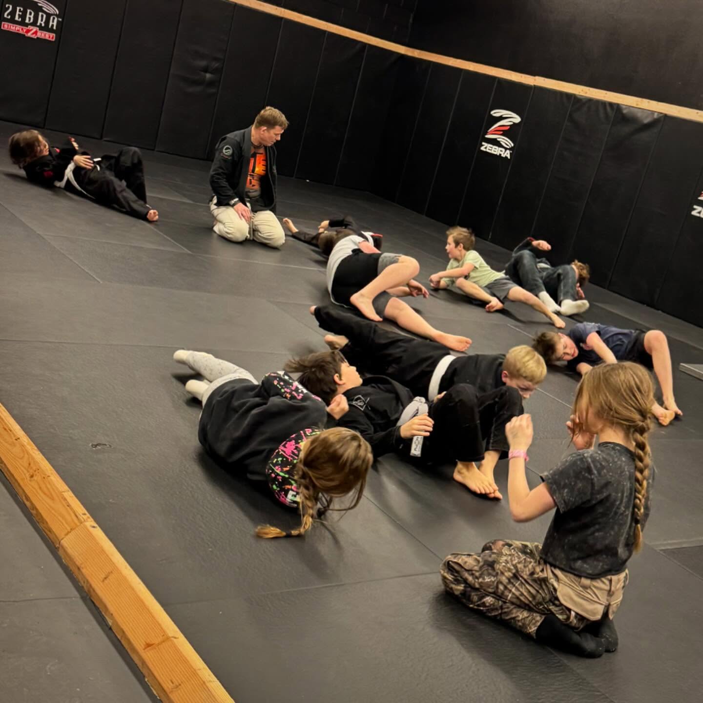 Nemesis BJJ