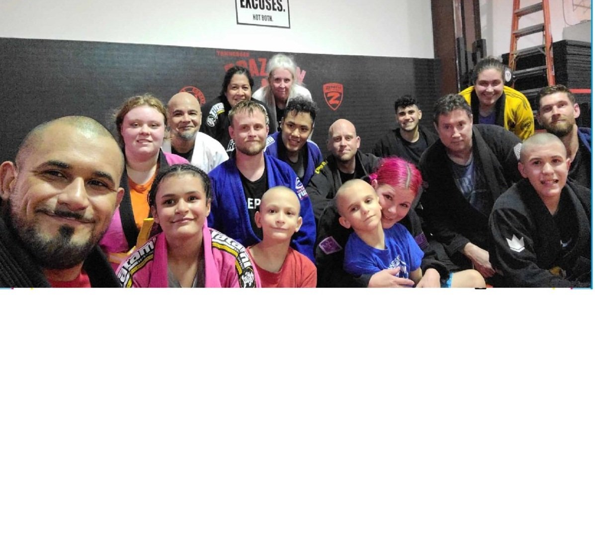 Main image of Nemesis mma