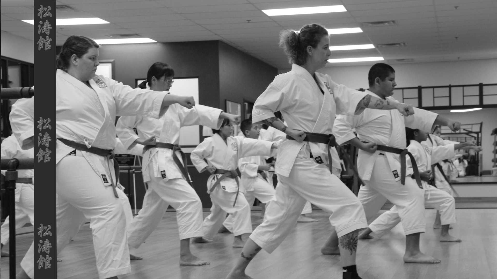Main image of Nevada Shotokan Karate