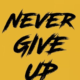 Main image of Never Give Up Jiu-Jitsu