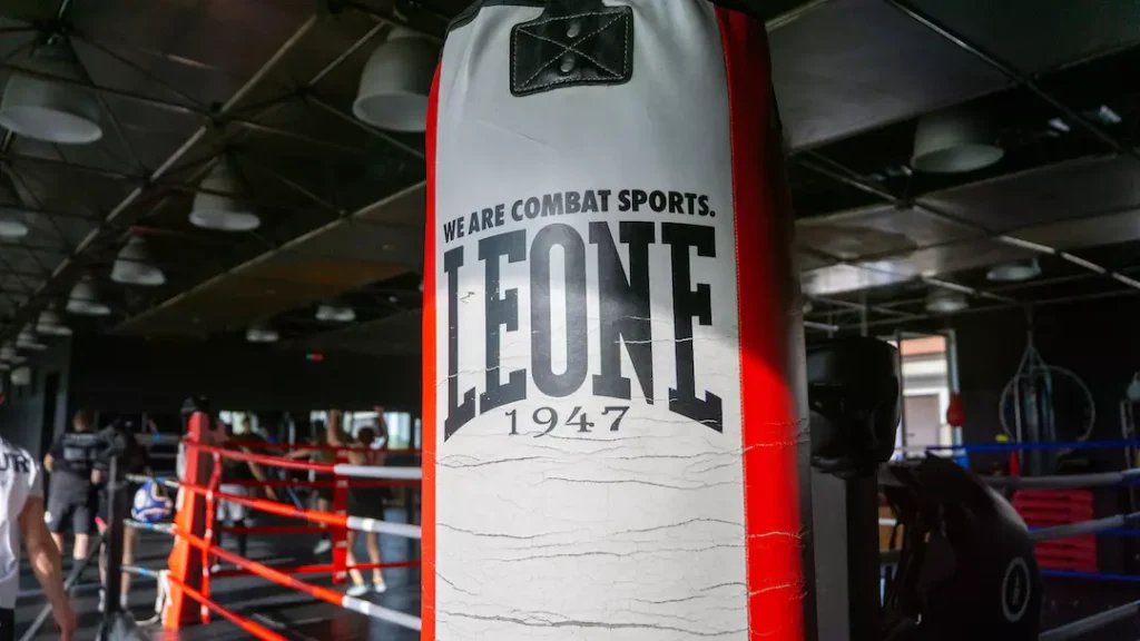Main image of New Boxe Order