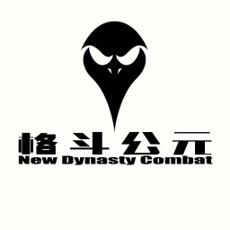 Main image of New Dynasty Combat