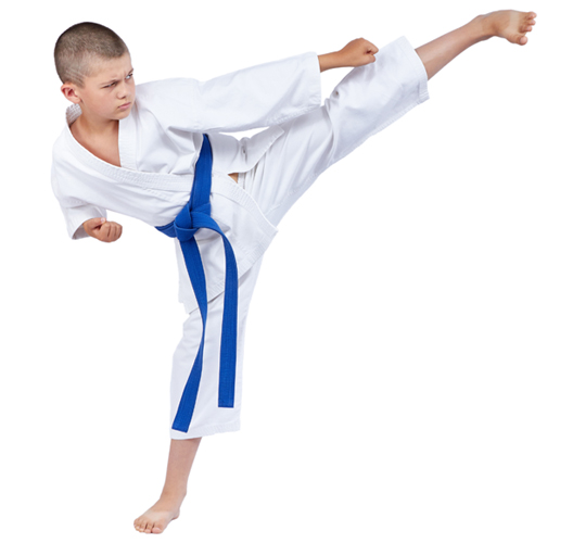 Main image of New England Martial Arts and Fitness