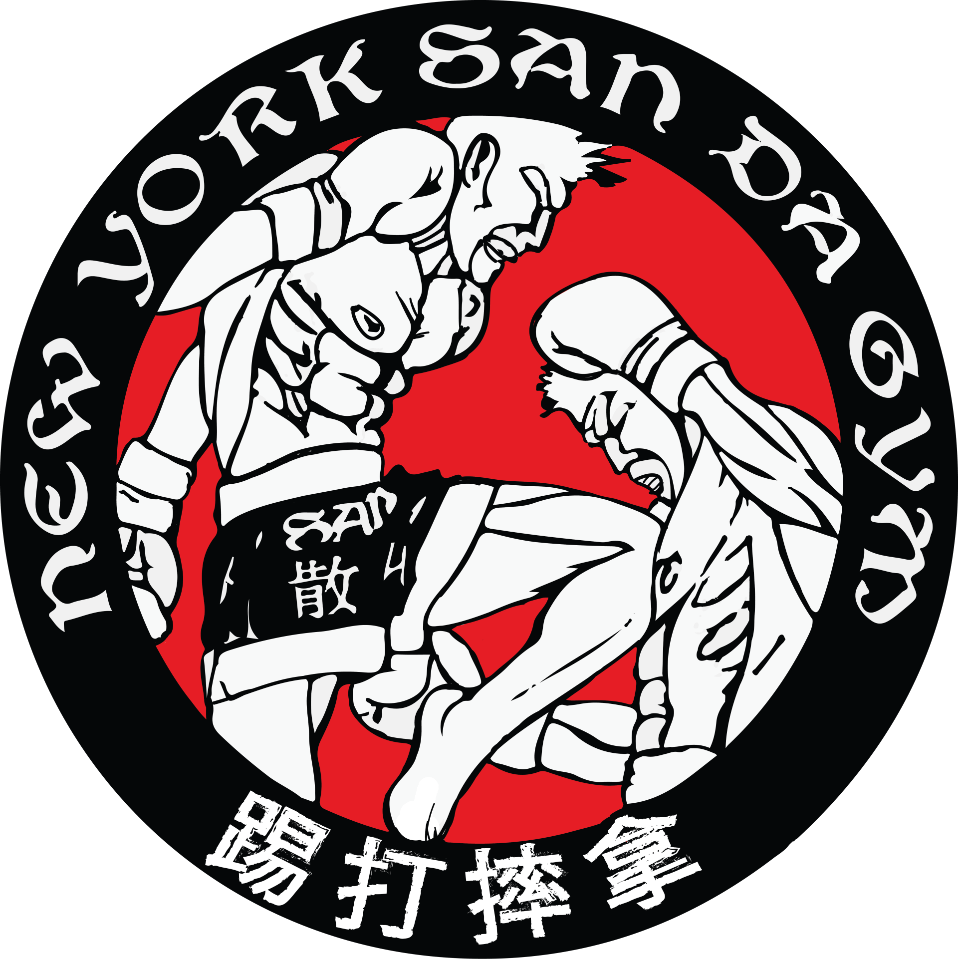 new york city muay thai academy photo