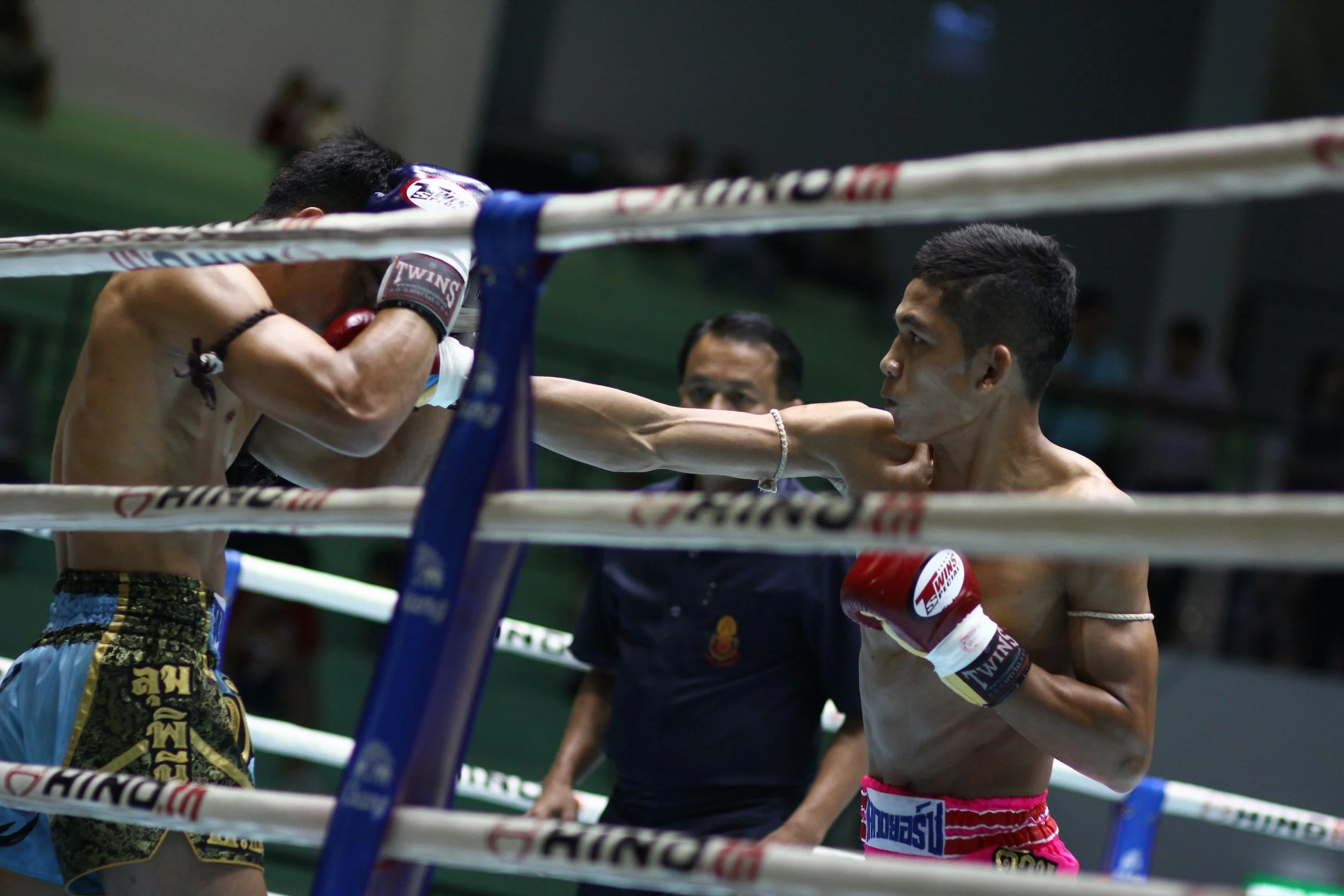 NewGen Muay Thai & Boxing academy photo