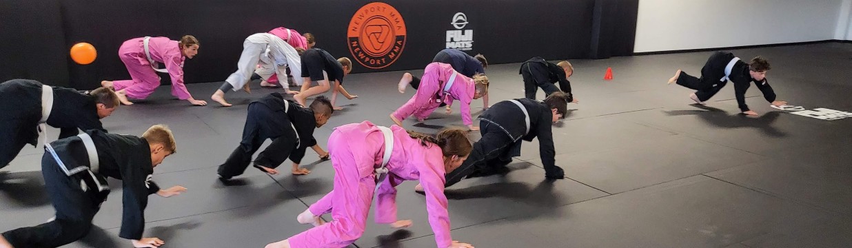 Main image of Newport Mixed Martial Arts
