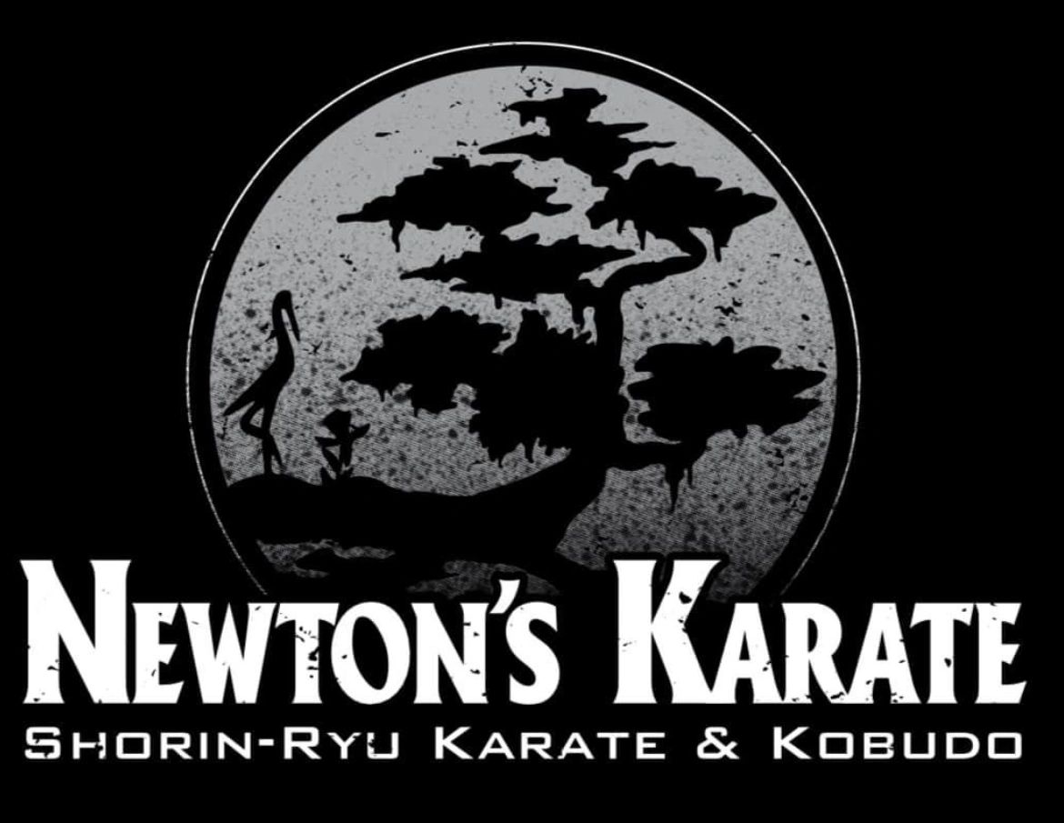 Main image of Newton's Karate