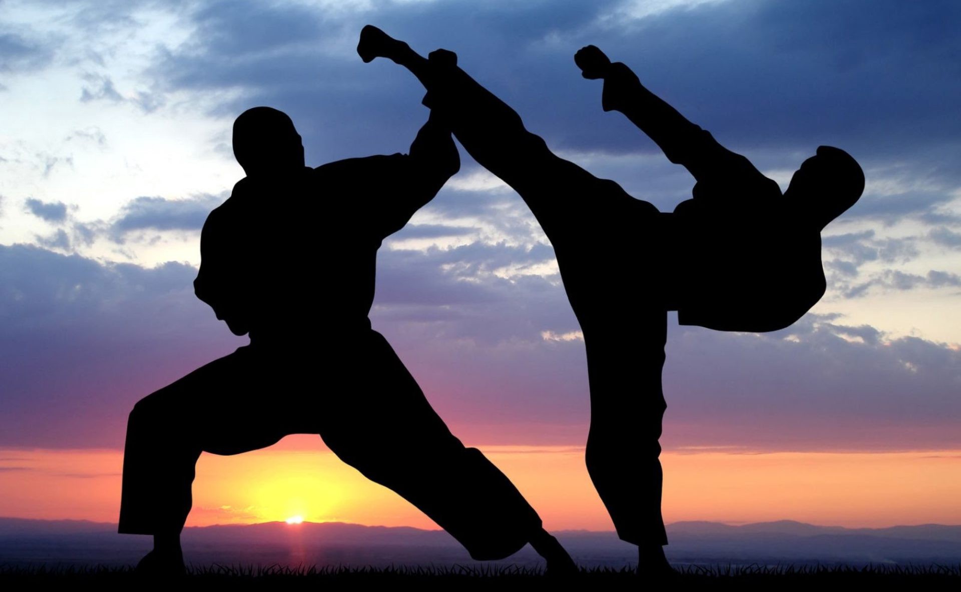 Main image of Next Level Martial Arts