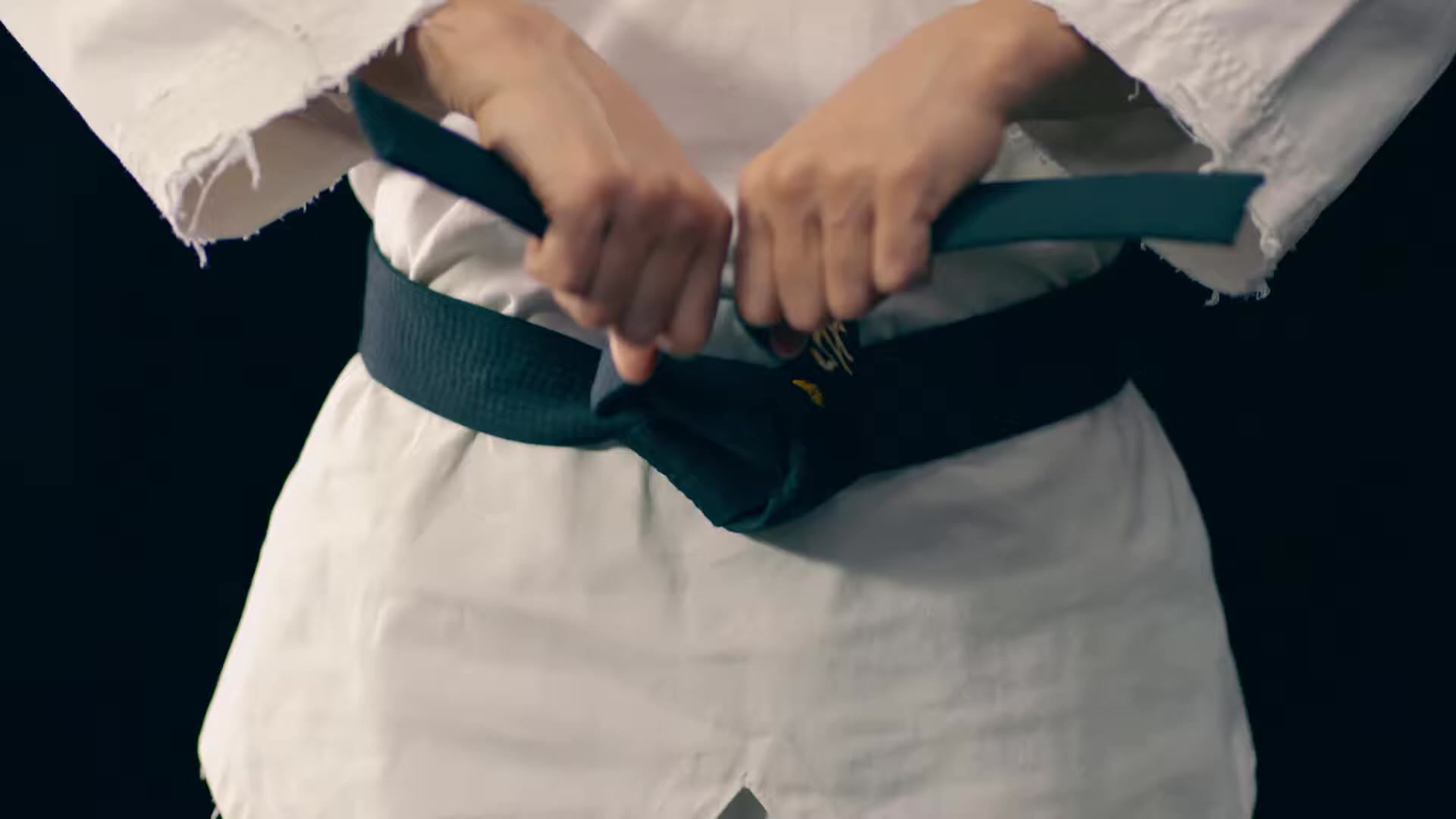 Niagara Taekwondo St. Catharines