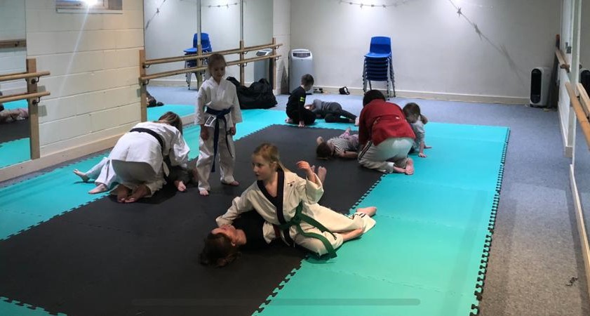 Main image of Nihon Ju Jitsu