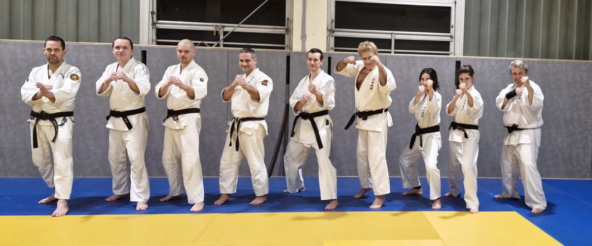 Main image of Nihon Tai Jitsu Le Chesnay