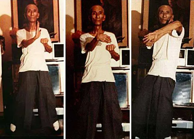 Main image of Nim Tao Wing Chun