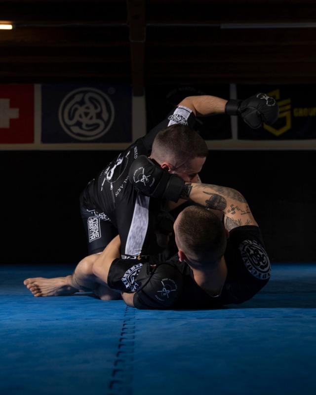 Main image of Ninja MMA and Streetfight