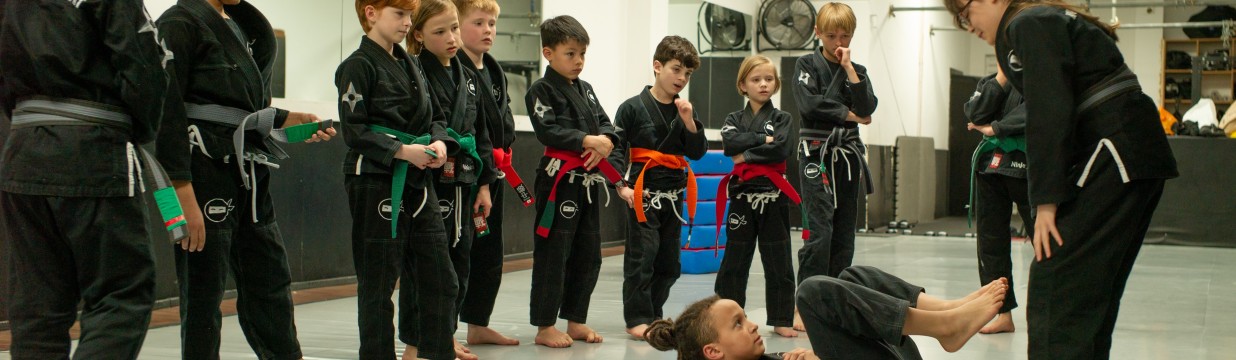 Main image of Ninja School