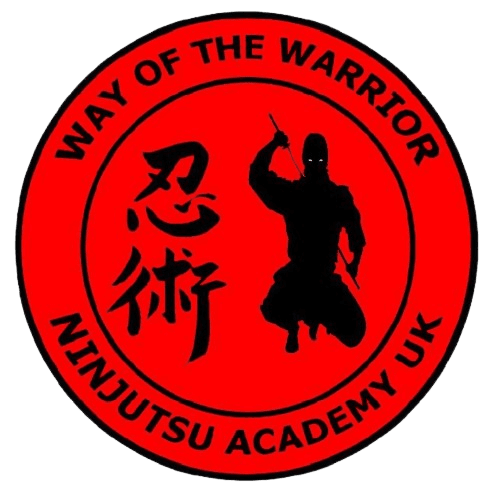 Main image of Ninjutsu Academy Swansea