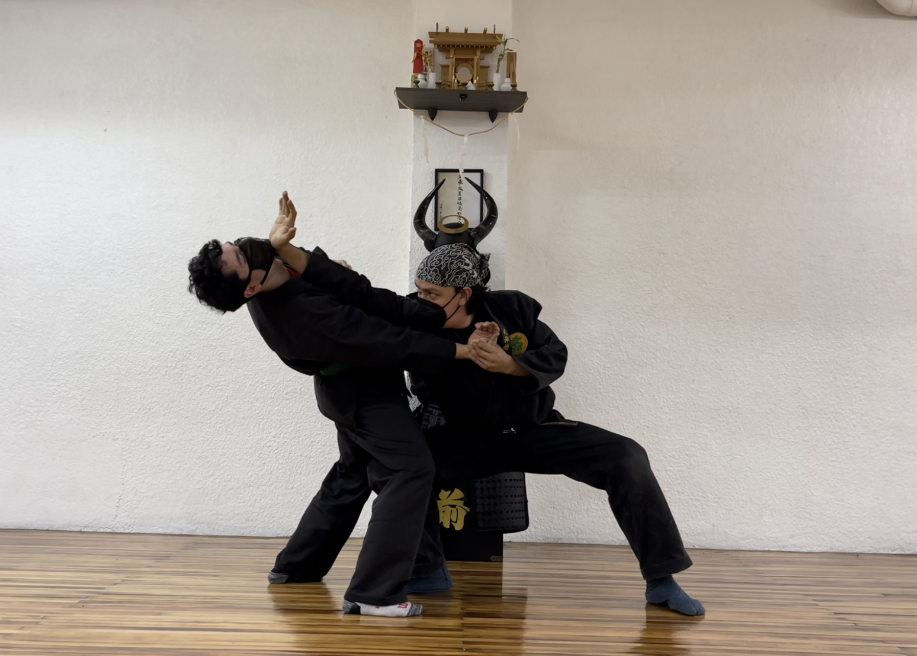 Main image of Ninjutsu Tradicional Bujinkan Kanno Dojo