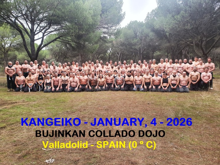 Main image of Ninjutsu Tres Cantos