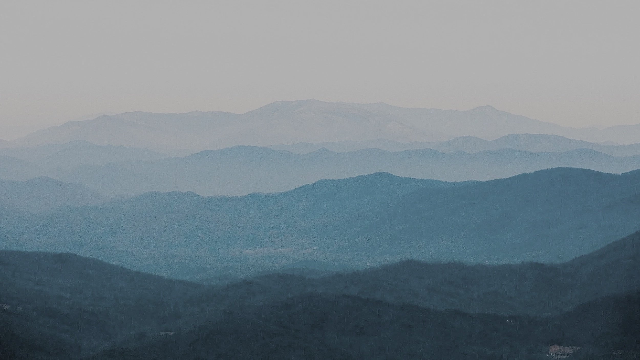 Main image of NJJWV International