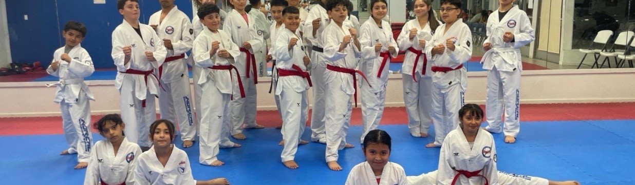 Main image of NorCal taekwondo academy