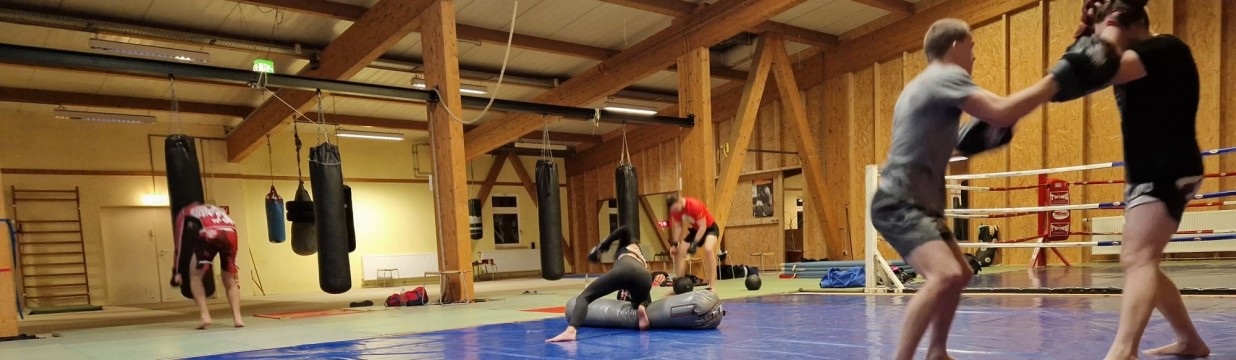 Main image of Nordic Fight Team