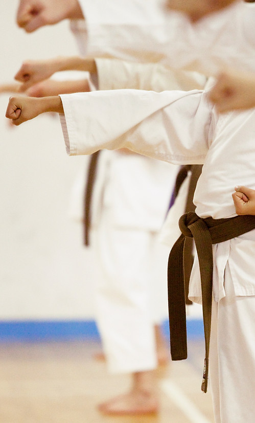 Main image of North East Wado Ryu Karate Club